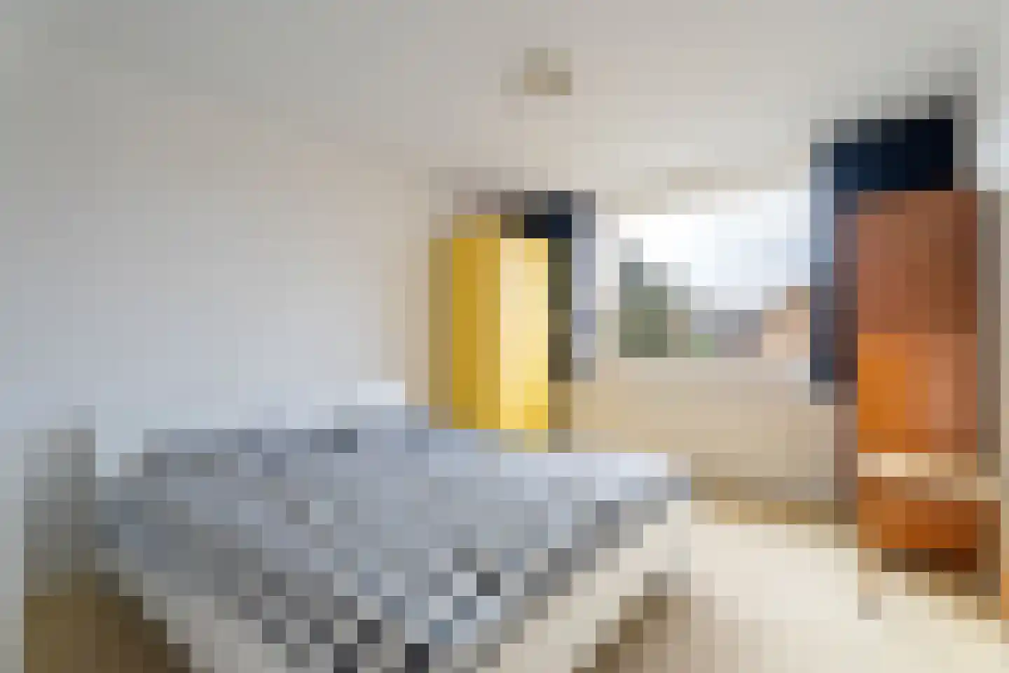 Antoon Coolenlaan 50 Tilburg thumbnail 13