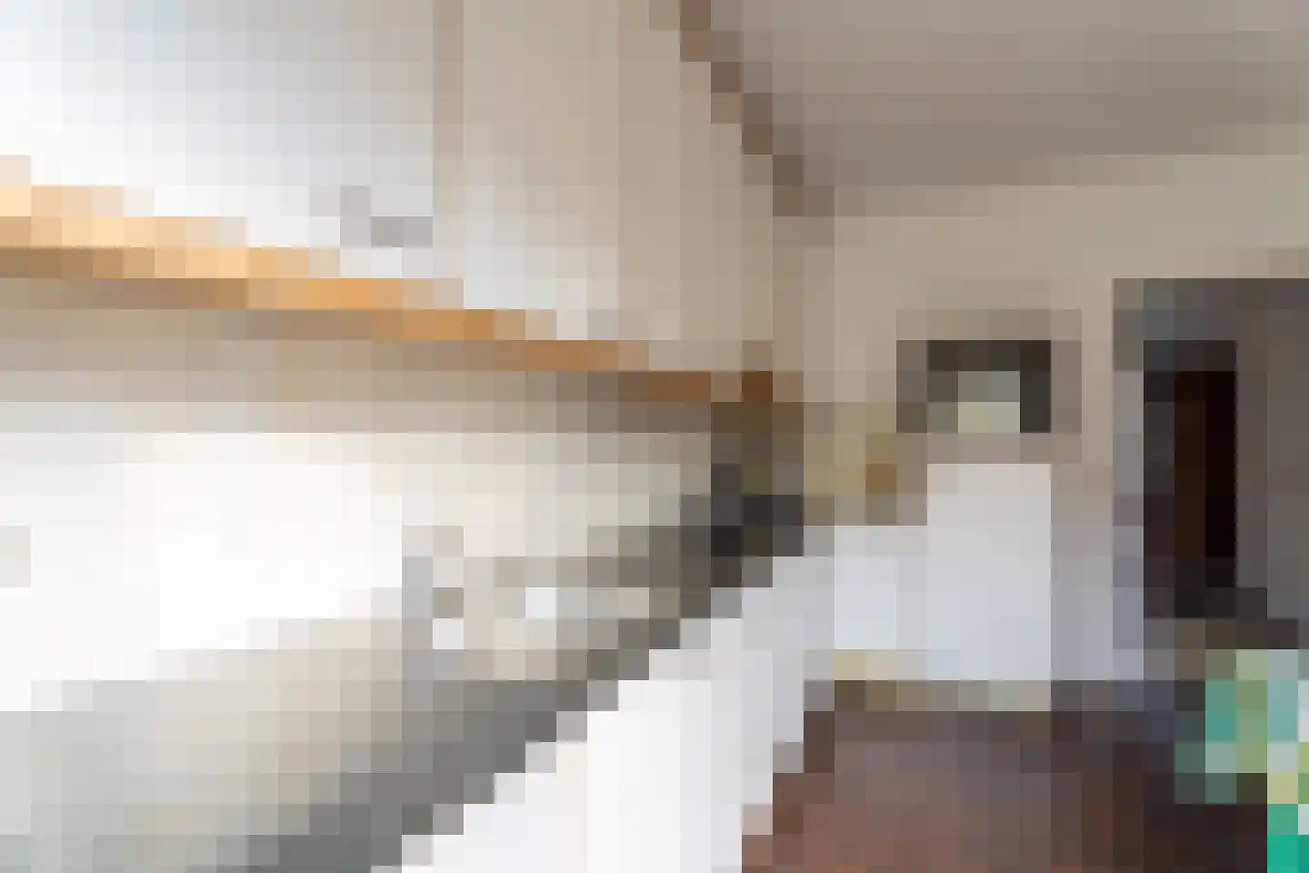 Antoon Coolenlaan 50 Tilburg thumbnail 8