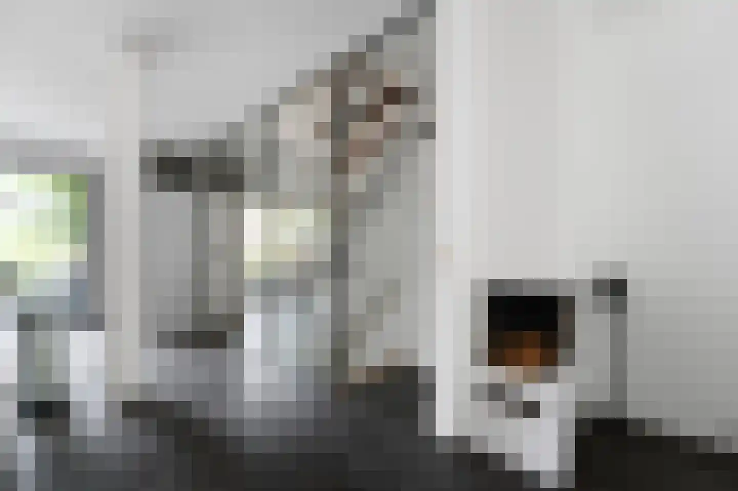 Antoon Coolenlaan 55 Delft thumbnail 30