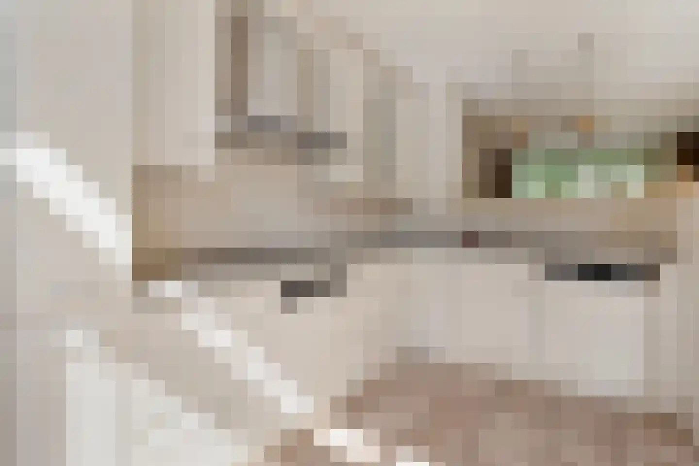 Antoon Coolenlaan 9 Uithoorn thumbnail 20