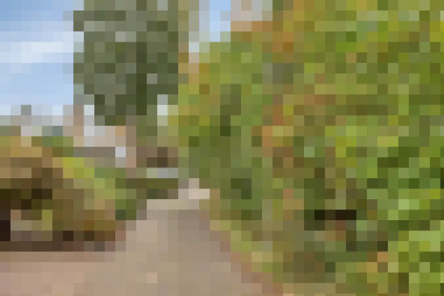 Antoon Coolenstraat 10 Landgraaf thumbnail 31