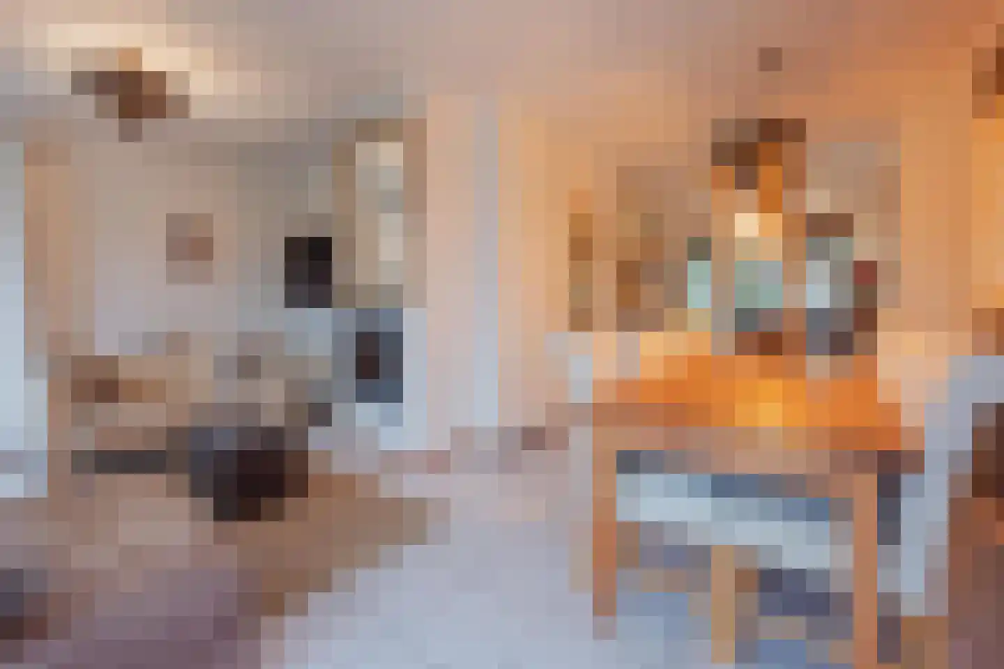 Antoon Coolenstraat 10 Raamsdonksveer thumbnail 15