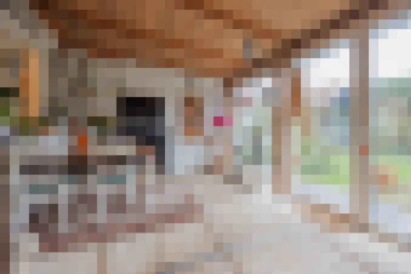Antoon Coolenstraat 10 Raamsdonksveer thumbnail 21