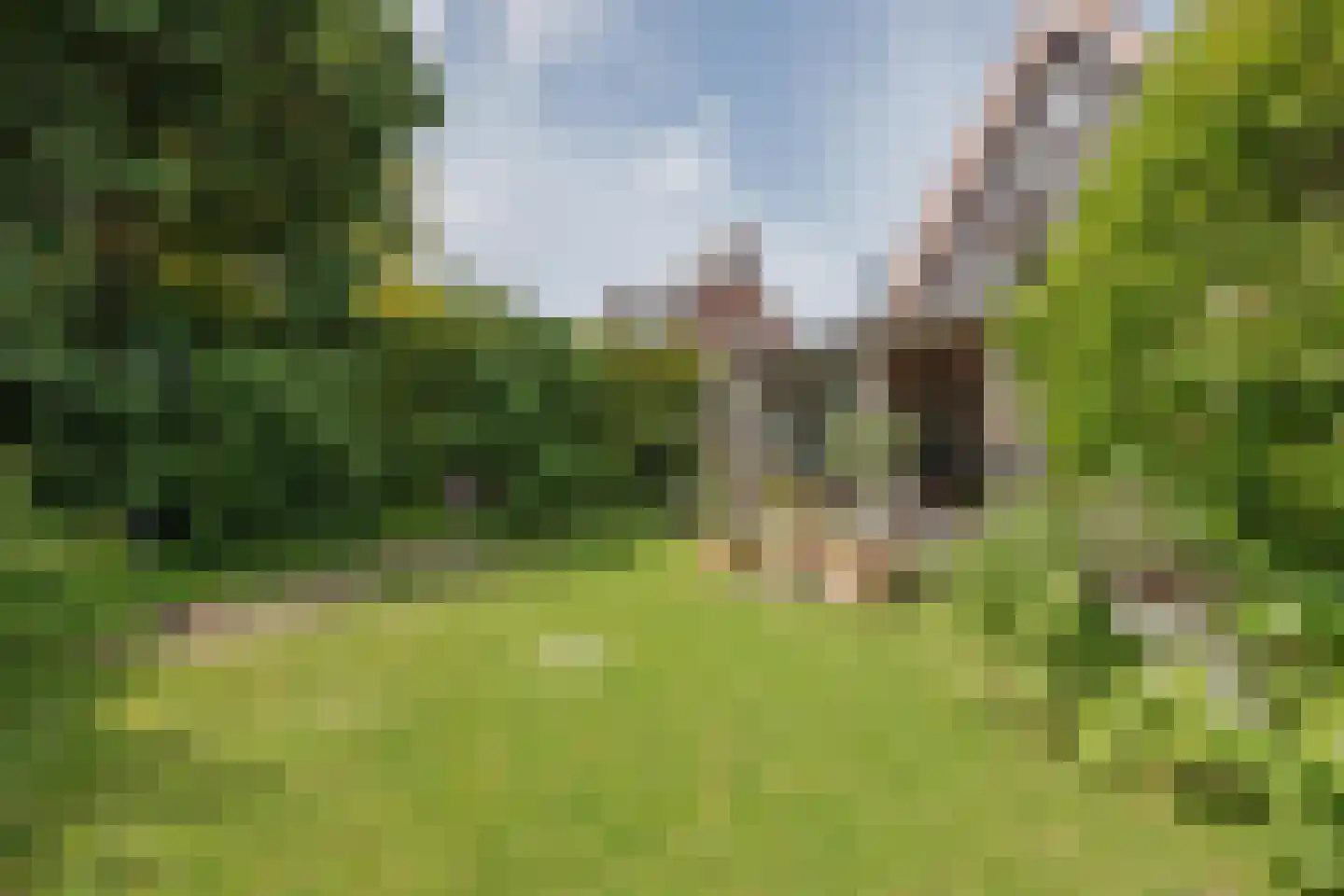 Antoon Coolenstraat 10 Raamsdonksveer thumbnail 28