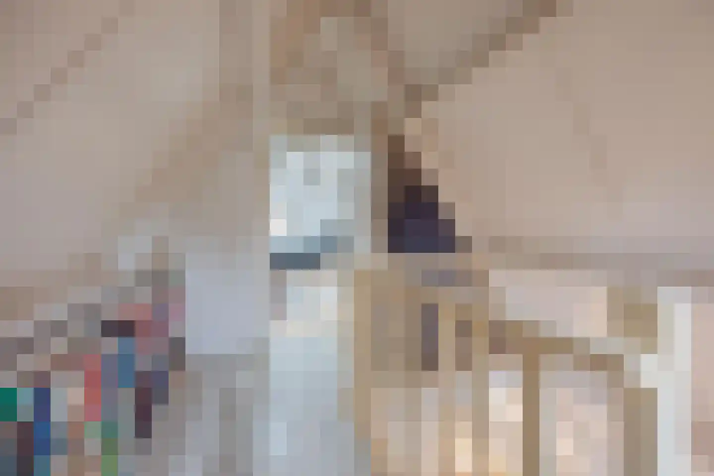 Antoon Coolenstraat 10 Raamsdonksveer thumbnail 30