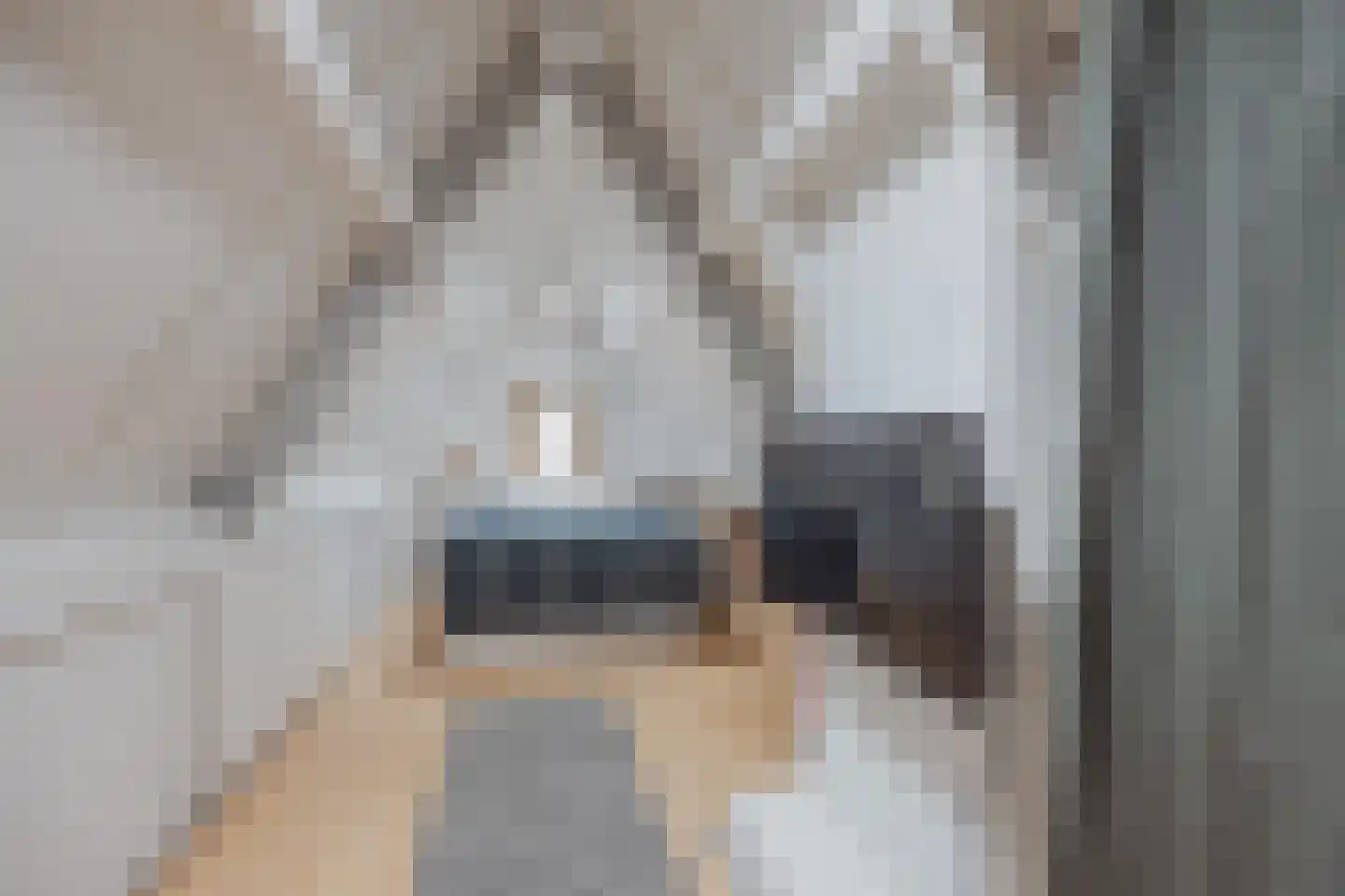 Antoon Coolenstraat 10 Raamsdonksveer thumbnail 31
