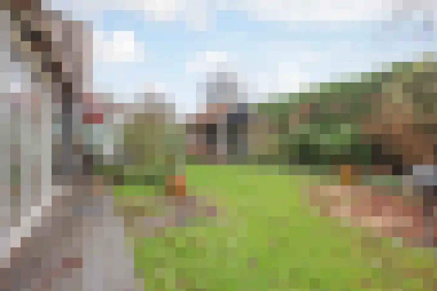 Antoon Coolenstraat 10 Raamsdonksveer thumbnail 33