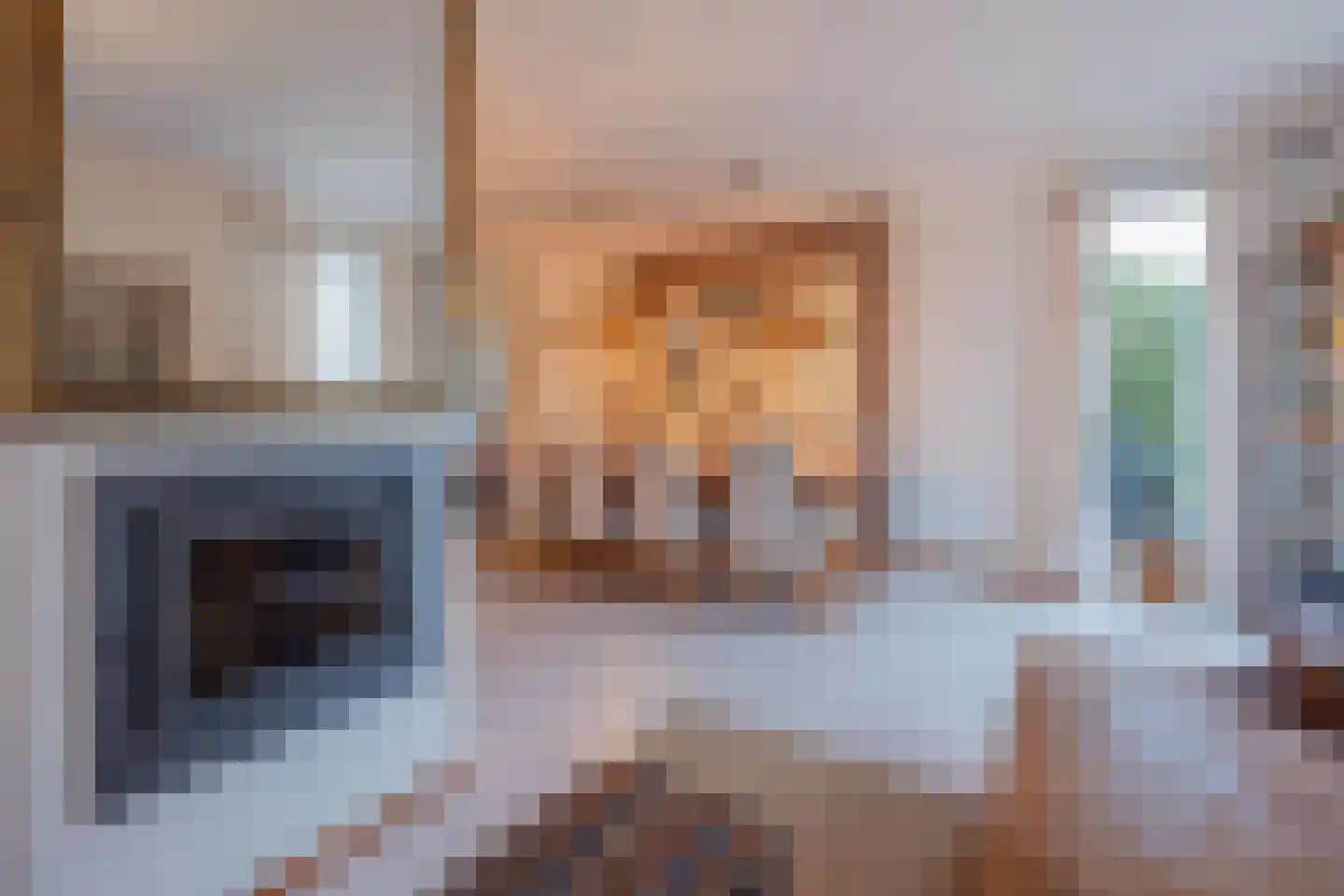 Antoon Coolenstraat 10 Raamsdonksveer thumbnail 4