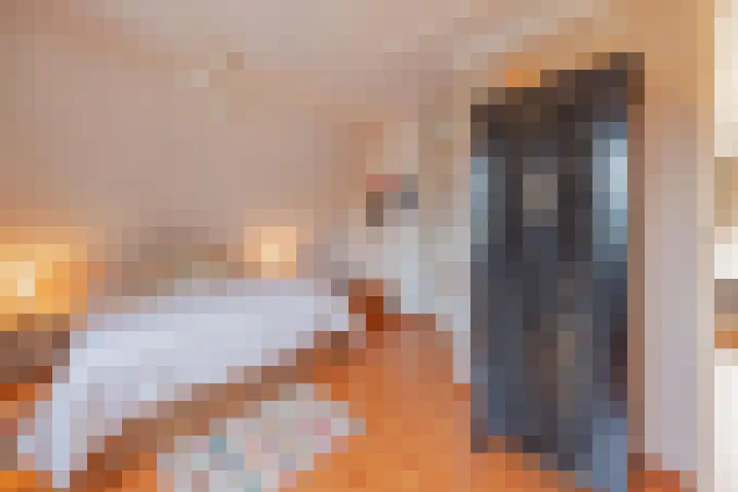 Antoon Coolenstraat 10 Raamsdonksveer thumbnail 5