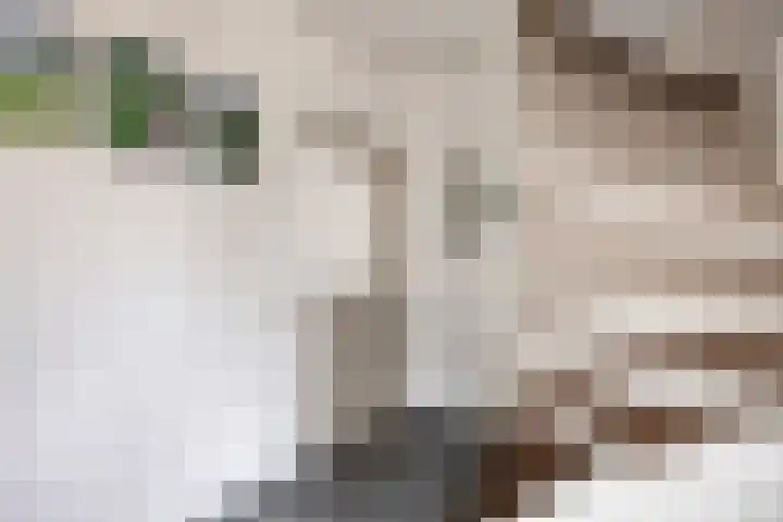 Antoon Coolenstraat 12 Heeswijk-Dinther thumbnail 13