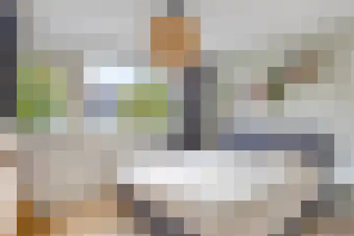 Antoon Coolenstraat 12 Heeswijk-Dinther thumbnail 15