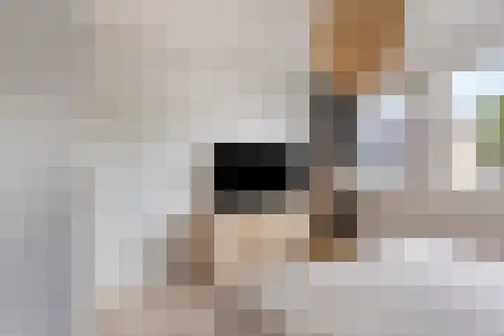 Antoon Coolenstraat 12 Heeswijk-Dinther thumbnail 16