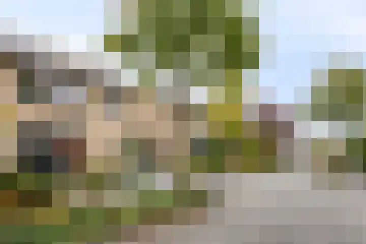 Antoon Coolenstraat 12 Heeswijk-Dinther thumbnail 38