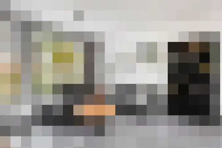 Antoon Coolenstraat 12 Heeswijk-Dinther thumbnail 4