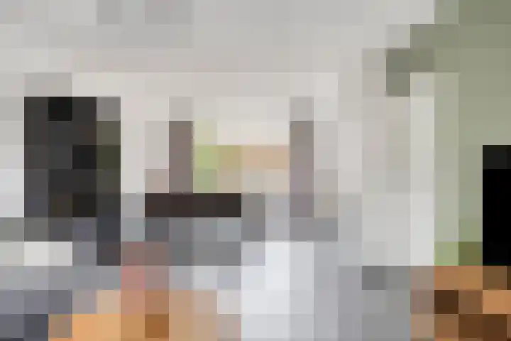 Antoon Coolenstraat 12 Heeswijk-Dinther thumbnail 7