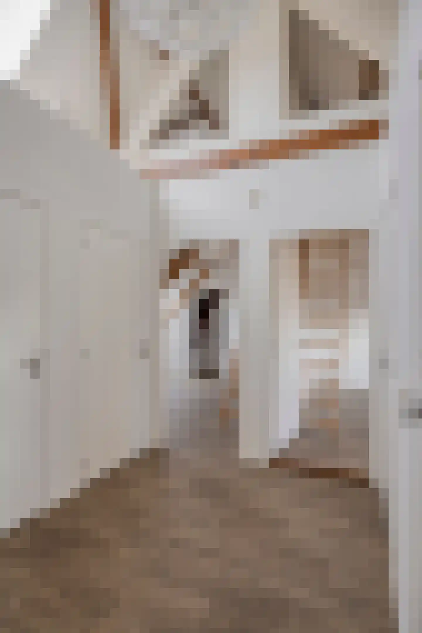 Antoon Coolenstraat 15 Heeswijk-Dinther thumbnail 22