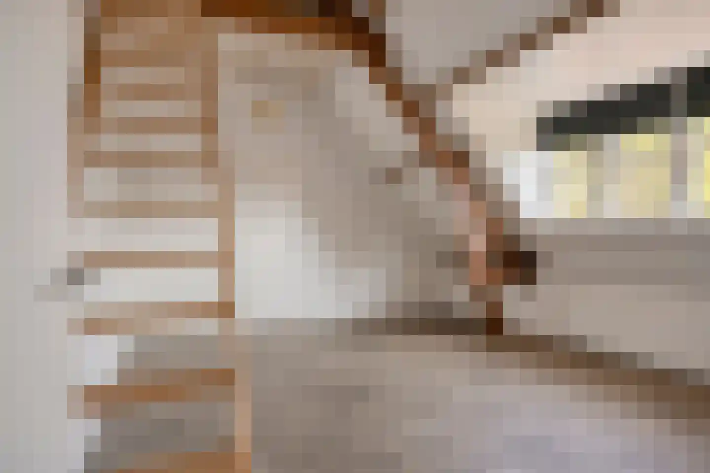 Antoon Coolenstraat 15 Heeswijk-Dinther thumbnail 29