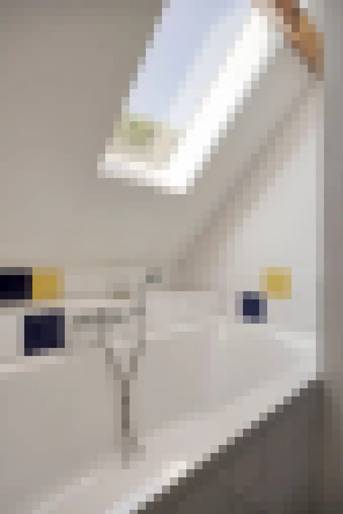 Antoon Coolenstraat 15 Heeswijk-Dinther thumbnail 38