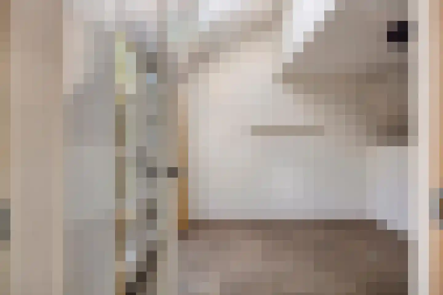 Antoon Coolenstraat 15 Heeswijk-Dinther thumbnail 6