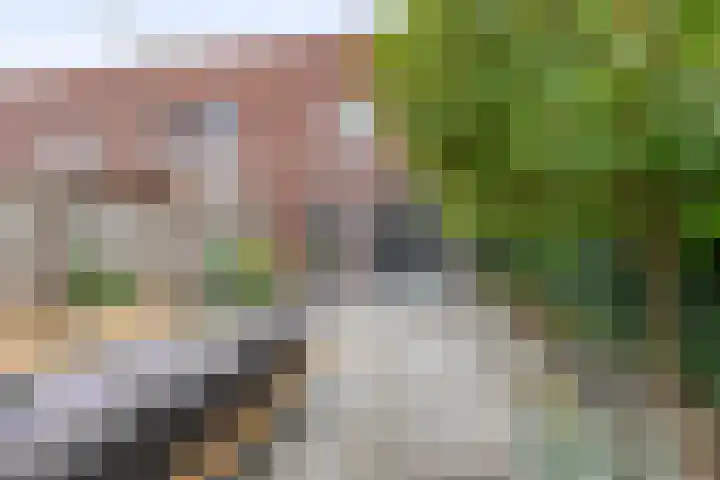 Antoon Coolenstraat 2 Waalwijk thumbnail 19