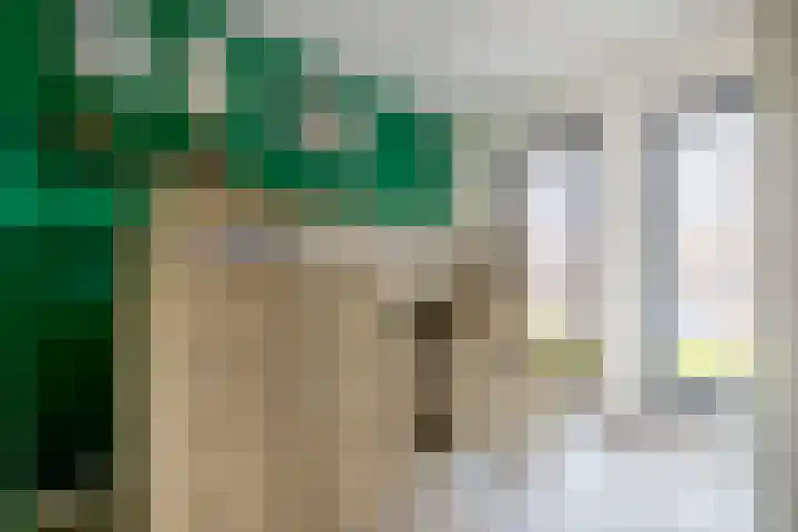 Antoon Coolenstraat 2 Waalwijk thumbnail 26