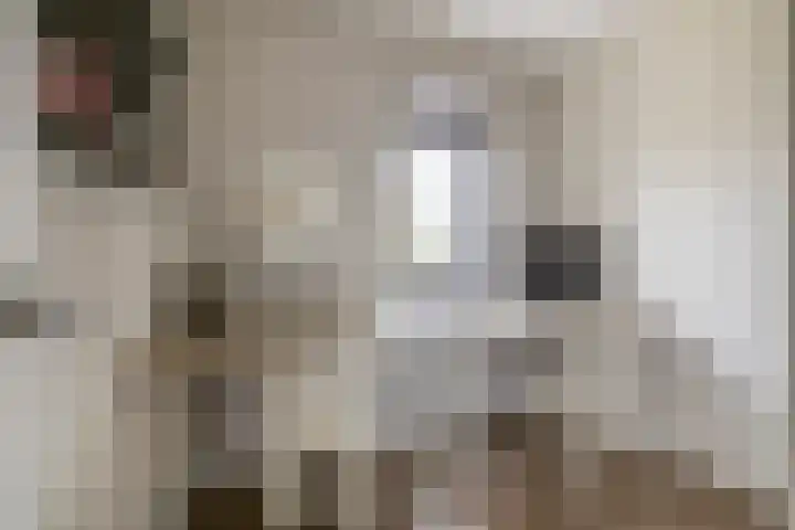 Antoon Coolenstraat 2 Waalwijk thumbnail 27