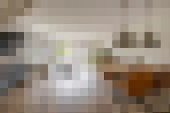Antoon Coolenstraat 2 Waalwijk thumbnail 4