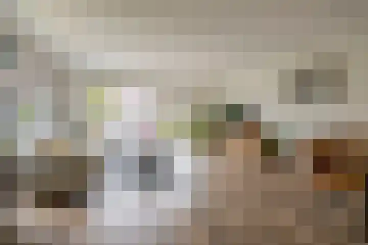 Antoon Coolenstraat 2 Waalwijk thumbnail 5