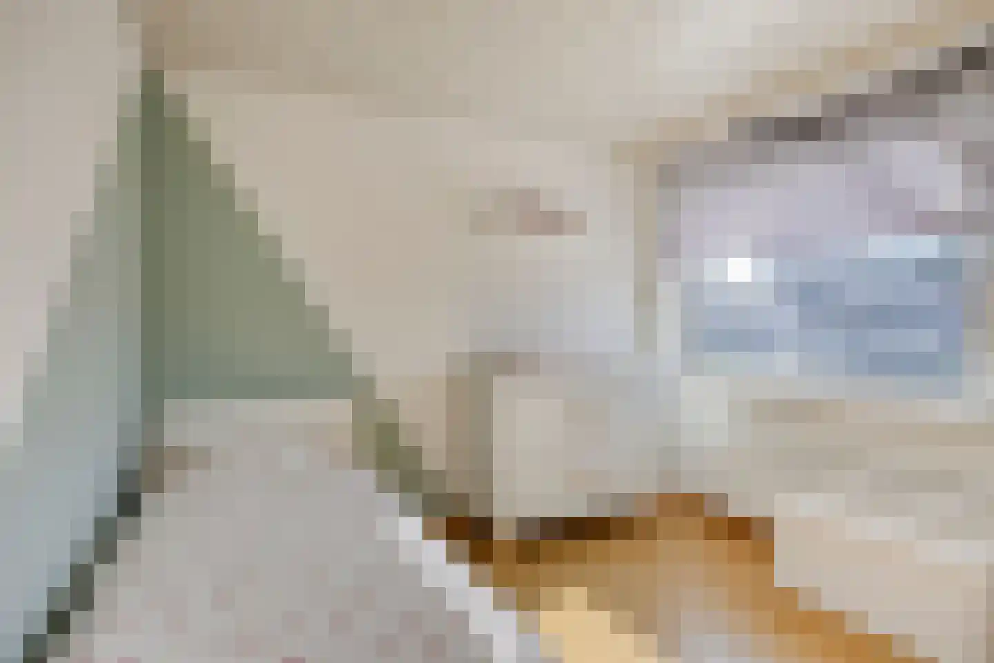 Antoon Coolenstraat 49 Gemert thumbnail 24