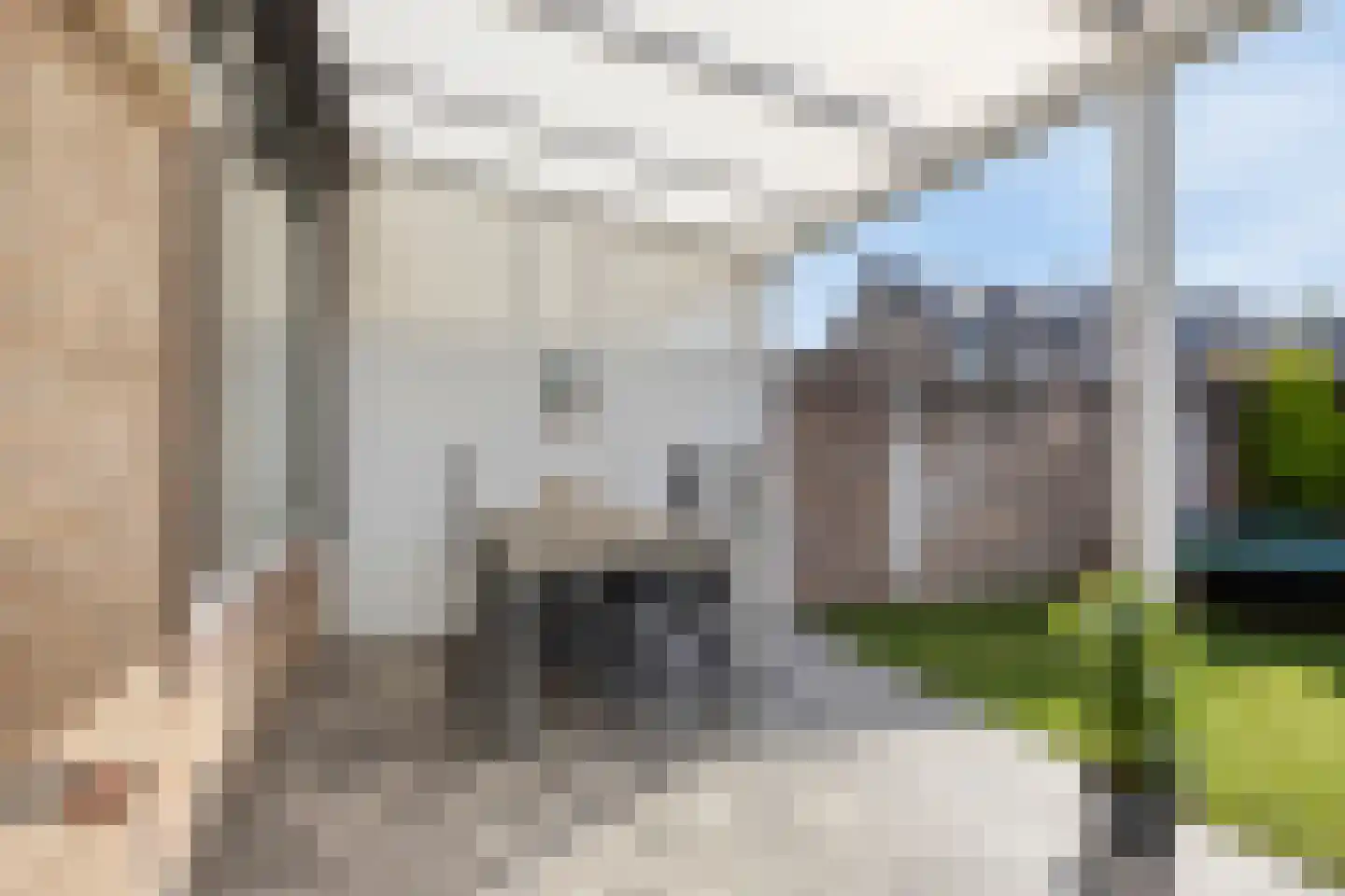 Antoon Coolenstraat 49 Gemert thumbnail 35