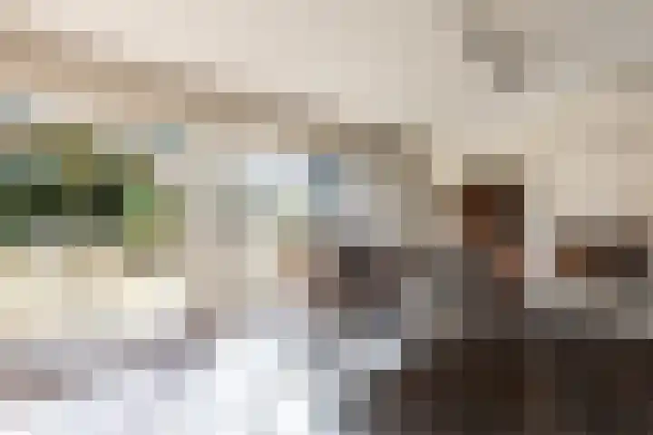 Antoon Coolenstraat 5 Helvoirt thumbnail 21