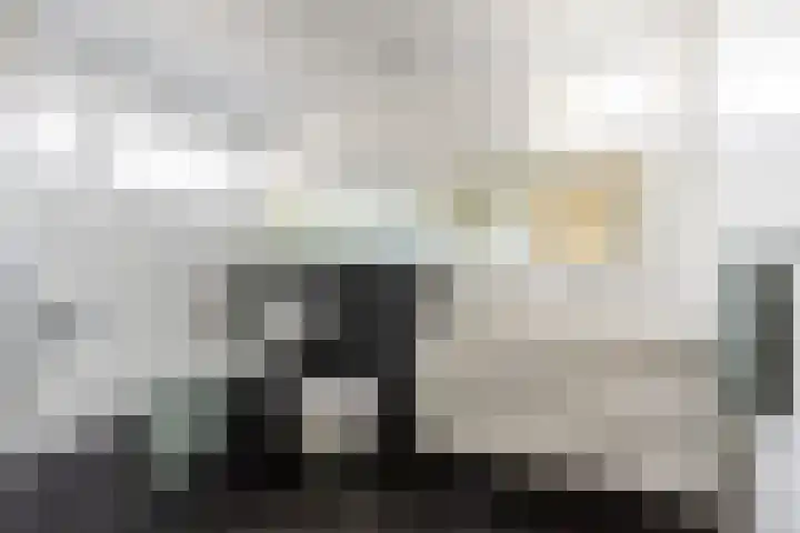 Antoon Coolenstraat 5 Helvoirt thumbnail 28