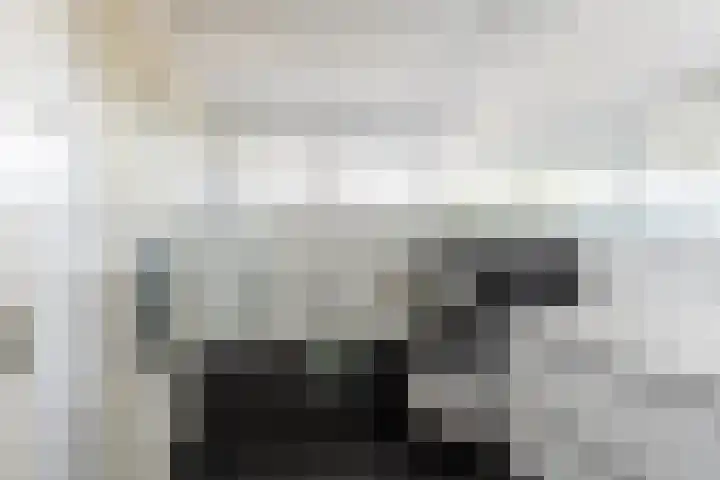 Antoon Coolenstraat 5 Helvoirt thumbnail 29
