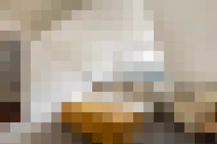 Antoon Coolenstraat 5 Helvoirt thumbnail 38