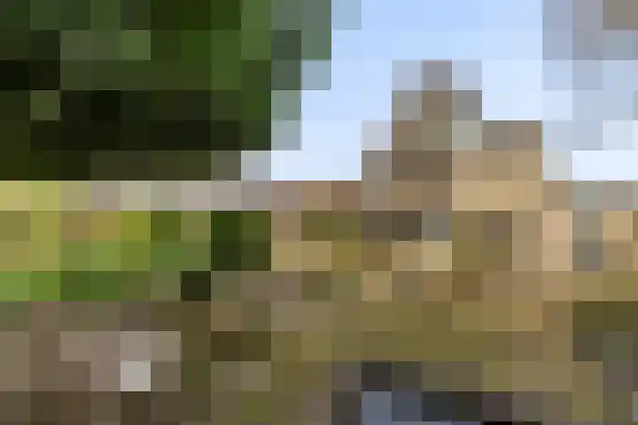 Antoon Coolenstraat 5 Helvoirt thumbnail 4