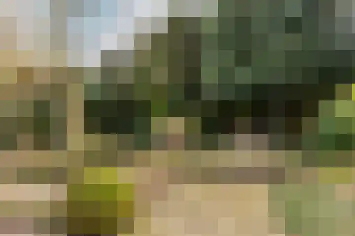 Antoon Coolenstraat 5 Helvoirt thumbnail 5