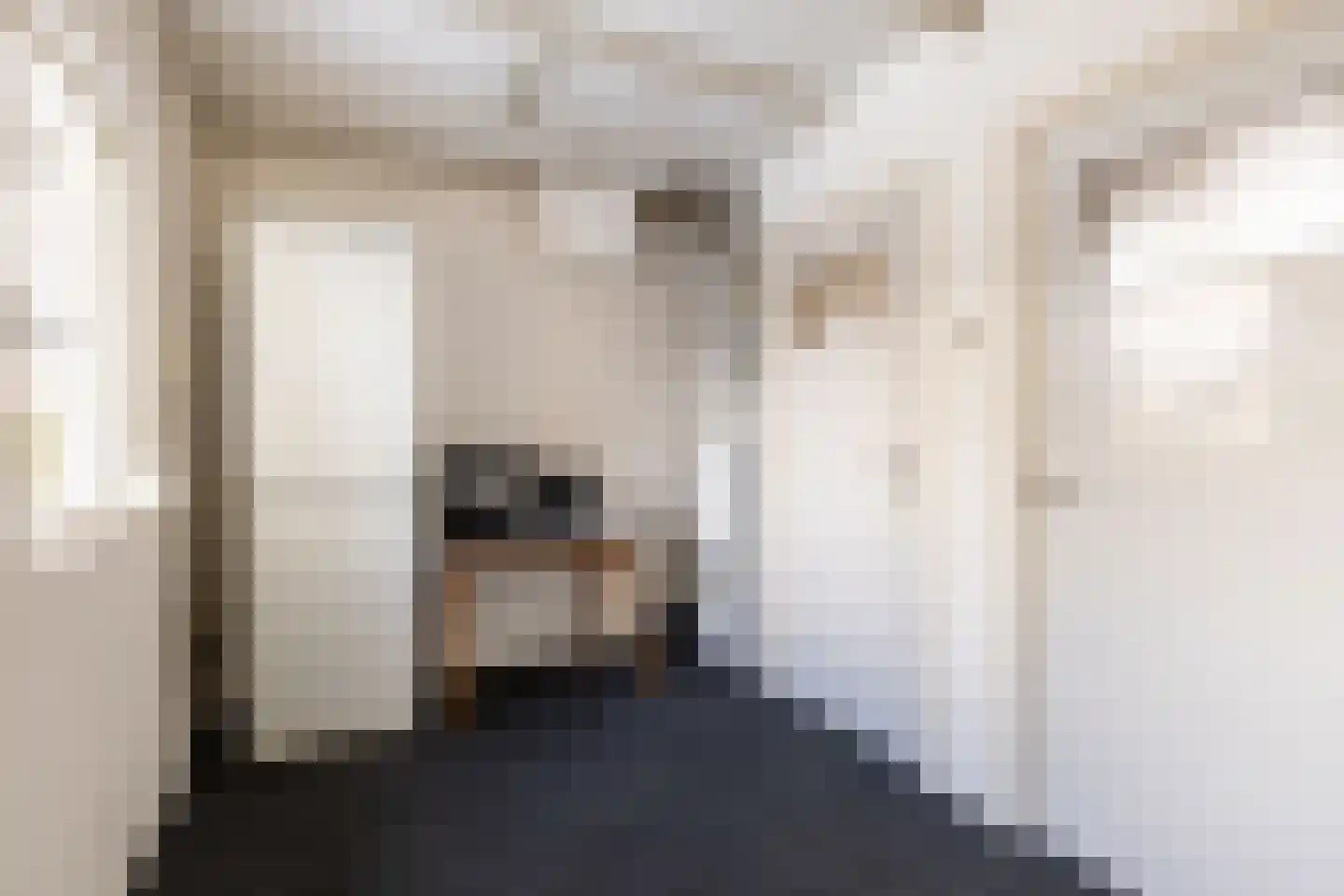 Antoon Coolenstraat 6 Helvoirt thumbnail 13