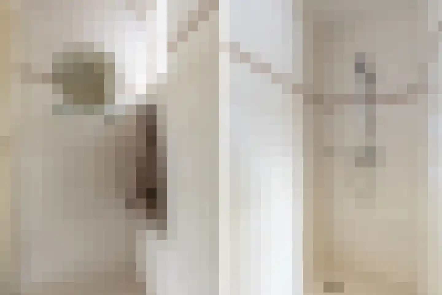 Antoon Coolenstraat 6 Helvoirt thumbnail 15