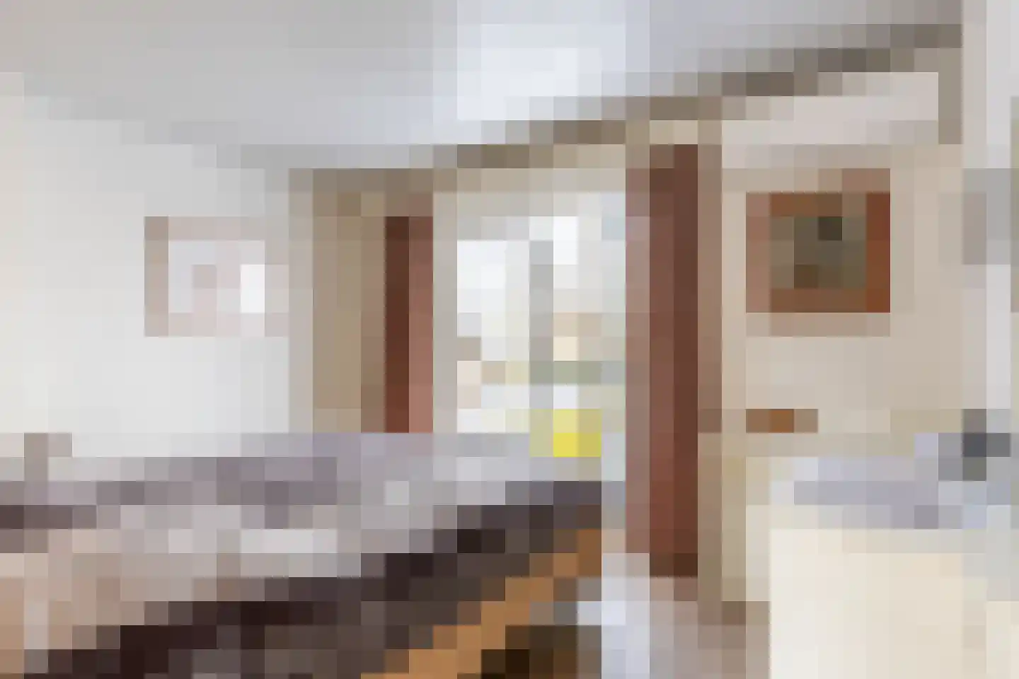 Antoon Coolenstraat 6 Helvoirt thumbnail 17