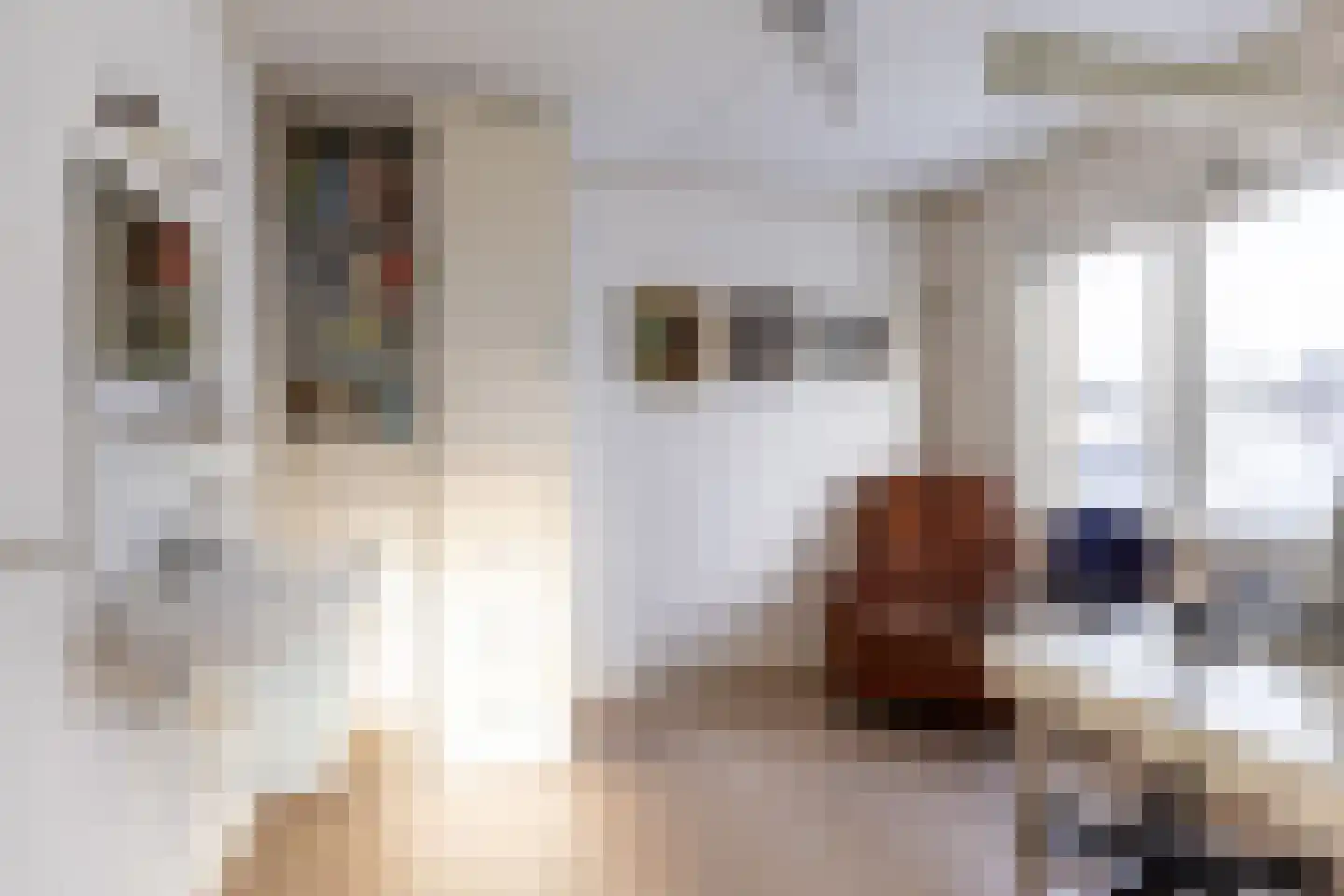 Antoon Coolenstraat 6 Helvoirt thumbnail 19