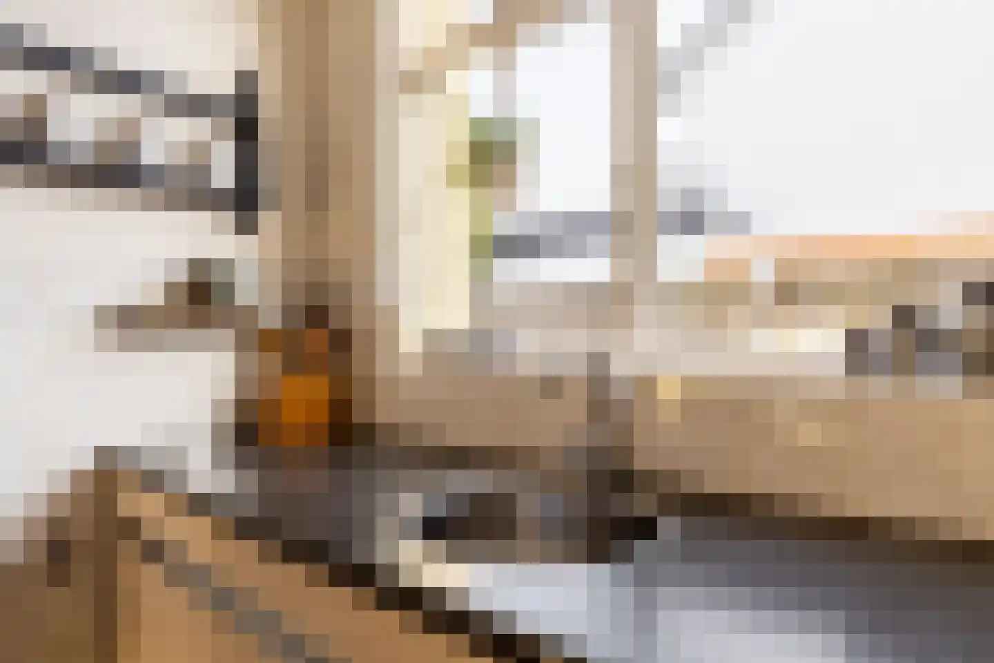 Antoon Coolenstraat 6 Helvoirt thumbnail 9