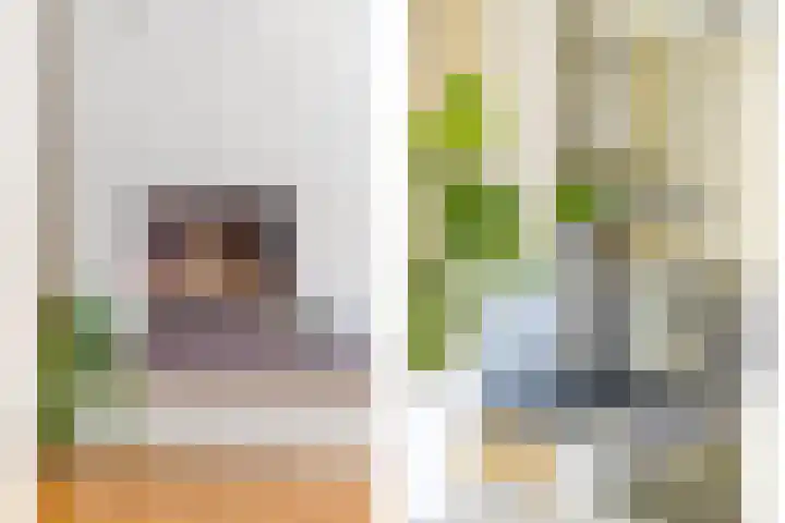 Antoon Coolenstraat 74 Gemert thumbnail 10