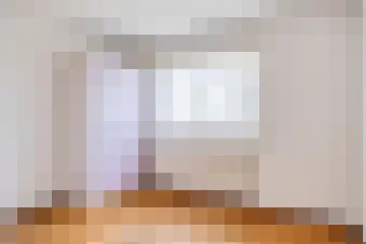 Antoon Coolenstraat 74 Gemert thumbnail 16