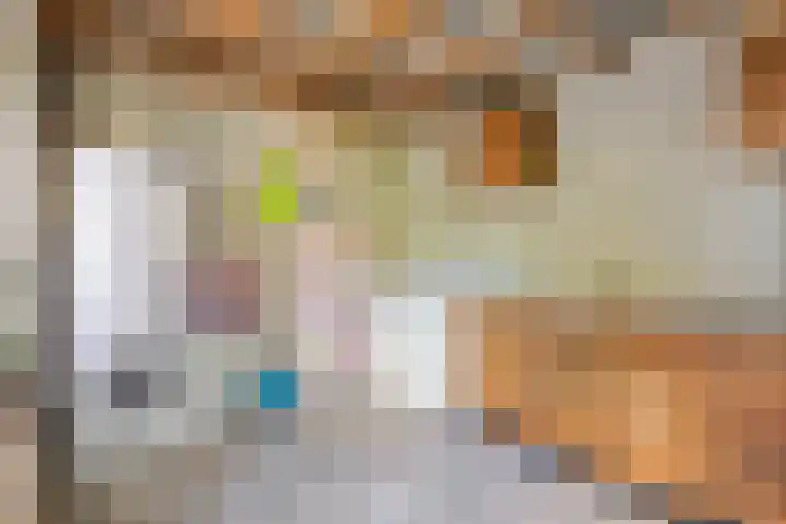Antoon Coolenstraat 74 Gemert thumbnail 22