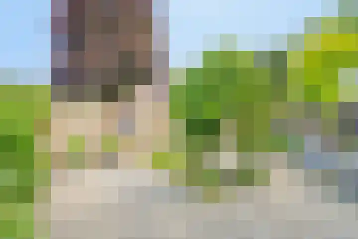 Antoon Coolenstraat 74 Gemert thumbnail 23