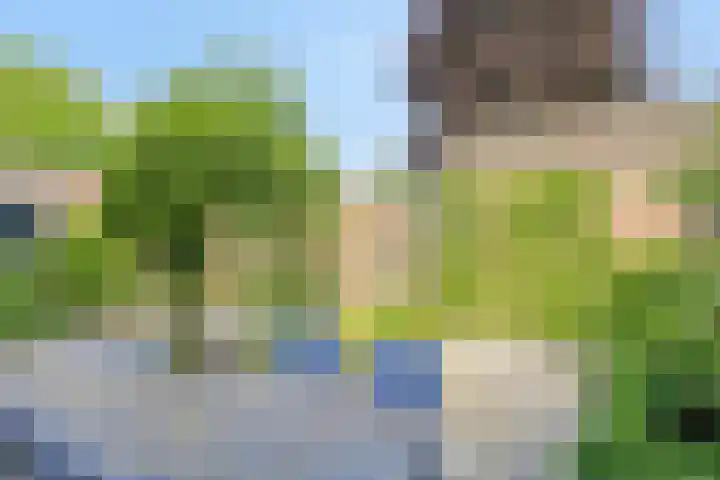 Antoon Coolenstraat 74 Gemert thumbnail 24