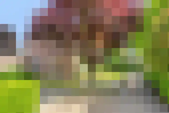 Antoon Coolenstraat 74 Gemert thumbnail 27