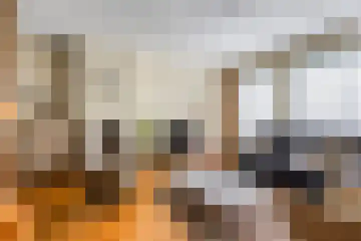 Antoon Coolenstraat 74 Gemert thumbnail 5