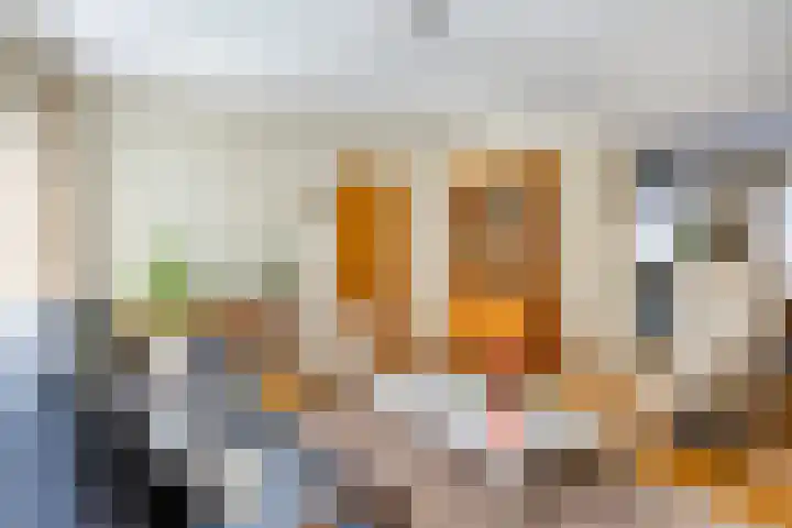Antoon Coolenstraat 74 Gemert thumbnail 6