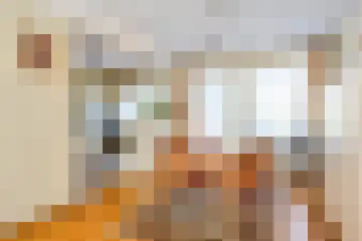 Antoon Coolenstraat 74 Gemert thumbnail 7
